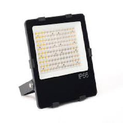 30 Watt LED Flood Light