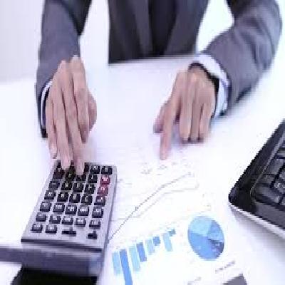 Income Tax Consultant