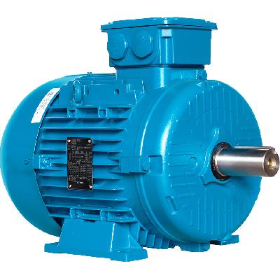 Motor