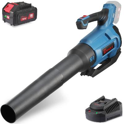 Motorized Blower