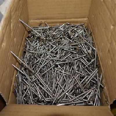 Ss Nails Stainless Steel Nails