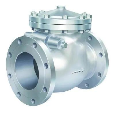 Audco Check Valves Set
