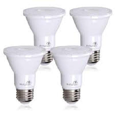 LED PAR Lamps (PAR 20)