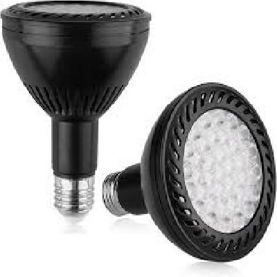 LED PAR Lamps (PAR 30)