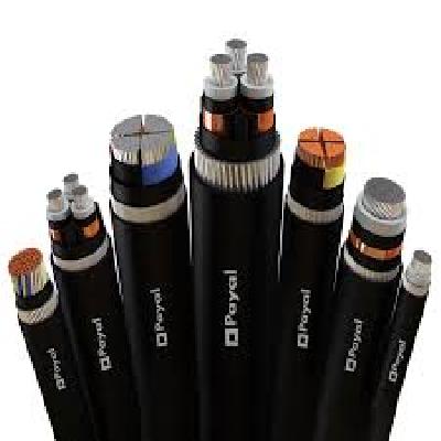 Power and Control Cables (Unarmoured/Armoured)