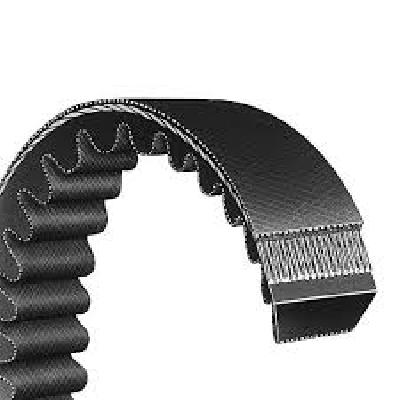 Ribbed V Belts