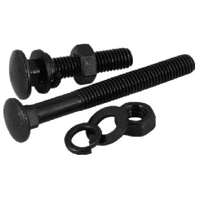 Black Stainless Steel Carriage Bolts