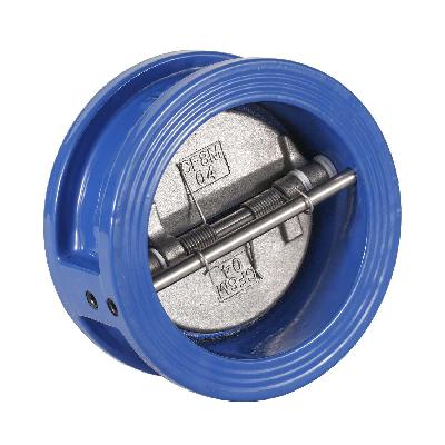 Dual Plate Check Valve