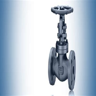 Forged Valves