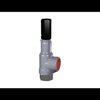 Protected Pressure Relief Valves
