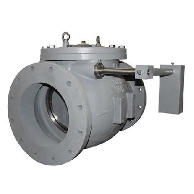 Swing Check Valves