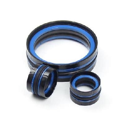 Double action seal
