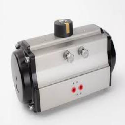 Pneumatic Rotary Actuator