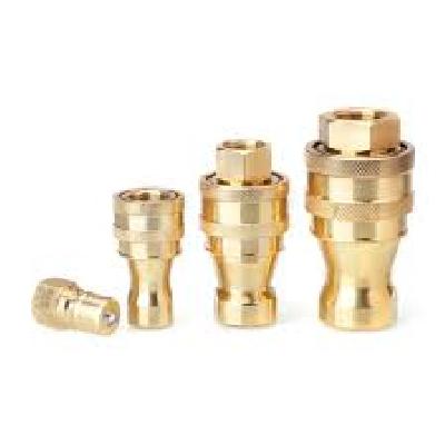 Ss Quick Release Coupling