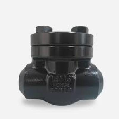 Forged Check Valves