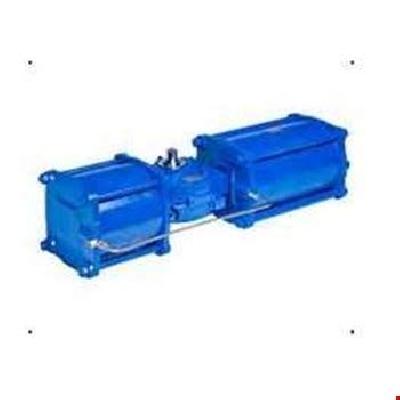 RG Series Heavy Duty Actuator