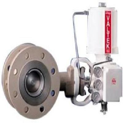 Valtek Mark 100 Globe Control Valve