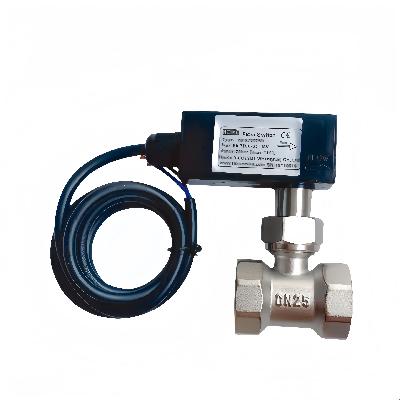 Flow Switch