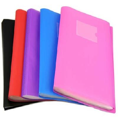 100 Pocket Display Book