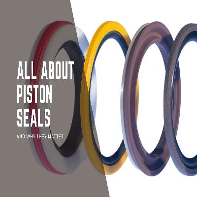 Piston Seal