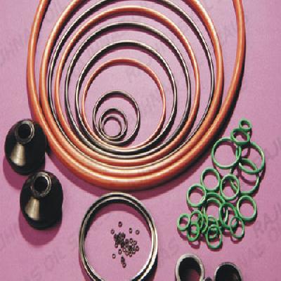 Rajhans Oil Seal