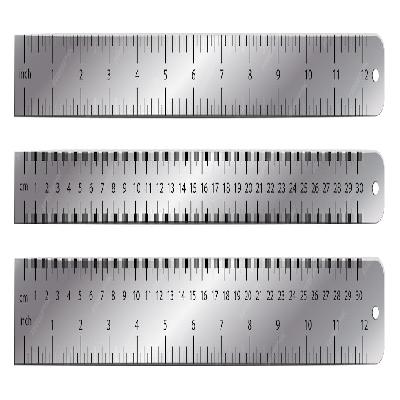 Steel Scale (Metric 