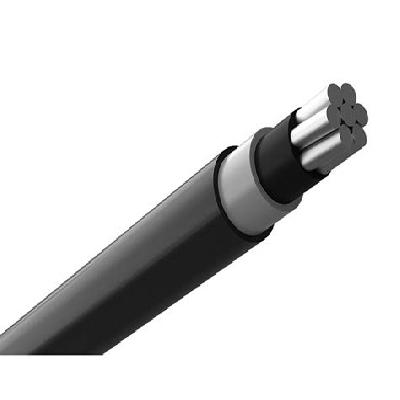 Raychem Covered Conductor