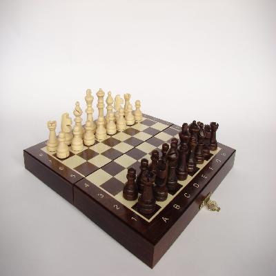 Magnetic Chess
