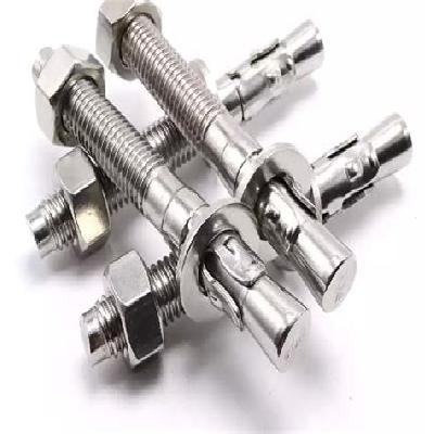 SS Anchor Fastener