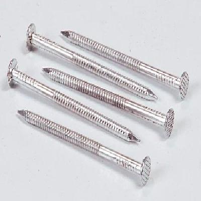 Stainless Steel Wire Nails