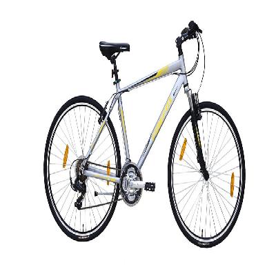 Road Runner Pro-v