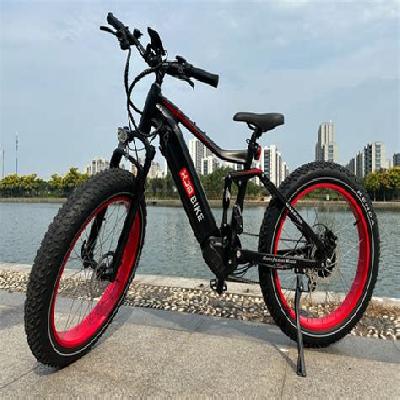 Warrior Full Suspension Bikes