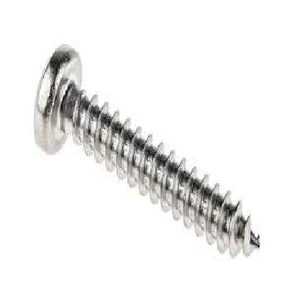 SS Screw