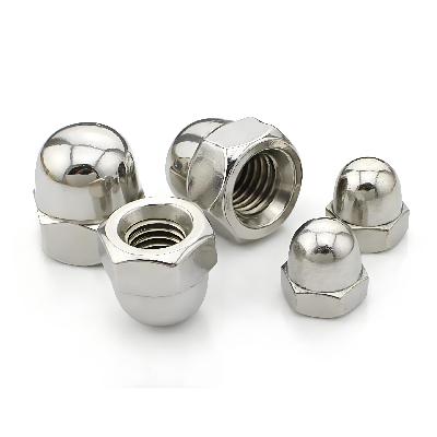 Stainless Steel Cap Nuts