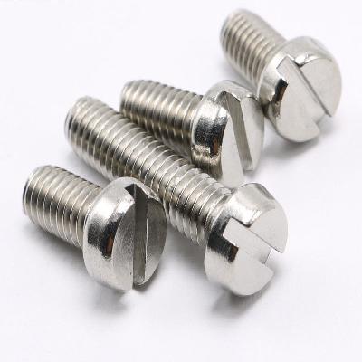 Stainless Steel Cheese Head Slotted Screws