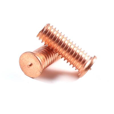 Stainless Steel Copper Screw