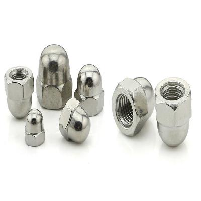 Stainless Steel Dome Nuts