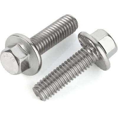 Stainless Steel Hex Flange Bolt