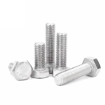 Stainless Steel Hex Screw