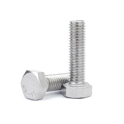 Stainless Steel Hexagon Head Screws