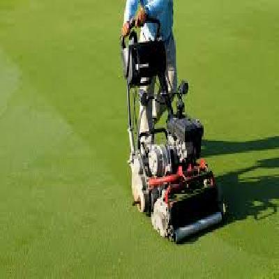 Golf Green Mower