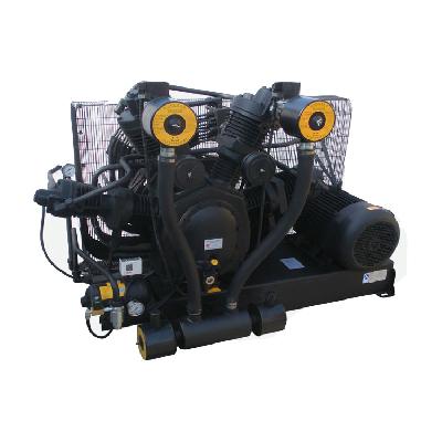ELGI Air Compressor
