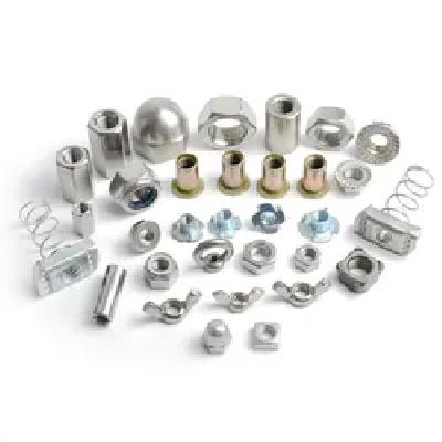 Stainless Steel Bolt