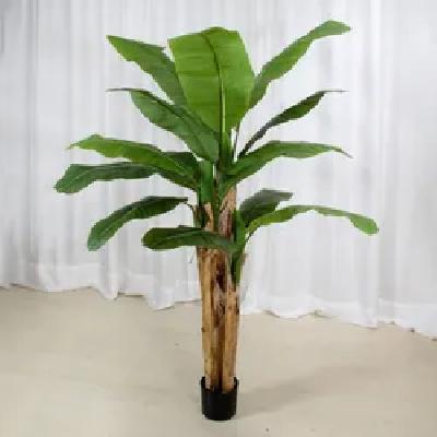 Banana Flower (Pcs)