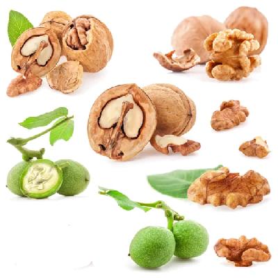 BETEL NUTS