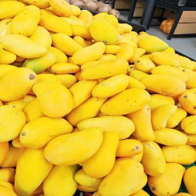 Farm Fresh Export Mango's