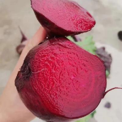 Fresh Beetroot