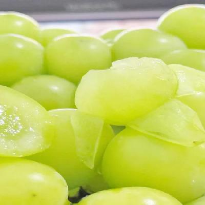 Fresh Grapes Fruit