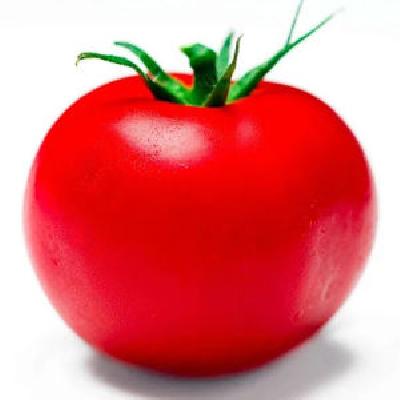 Tomato (Natti)