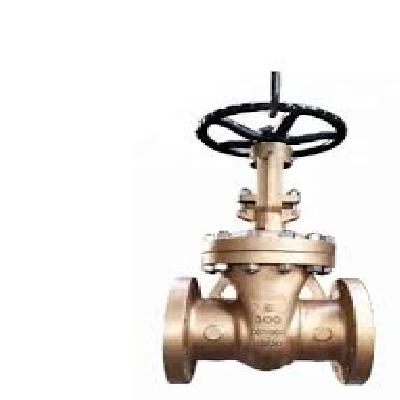 Bronze Valves